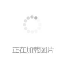 妈妈马夹春装薄款中老年女装春秋坎肩背心中年女大码格子马甲外穿